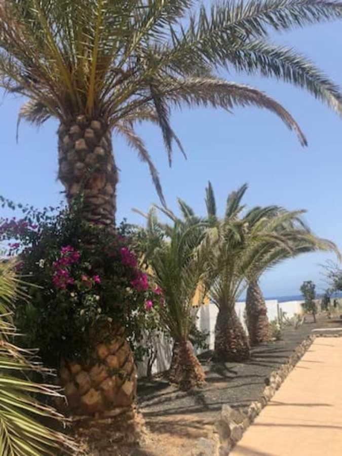 Amaya Relax Costa De Antigua Zewnętrze zdjęcie